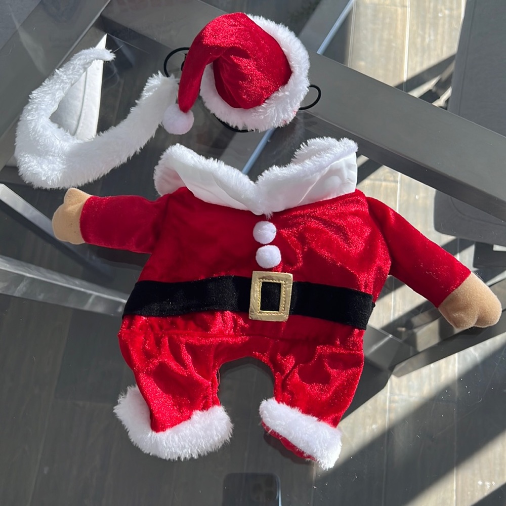 Dog Santa costume ♥️🐾